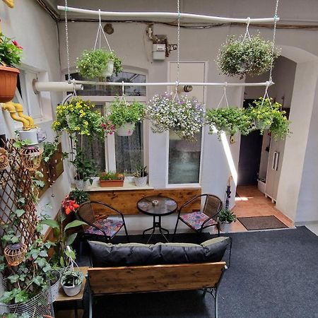 Studio Unikat Брашов Экстерьер фото